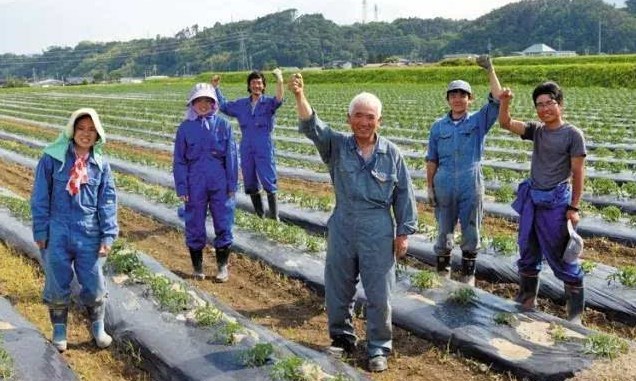 日本勞務派遣農業類、食品加工、建筑業、電子業招聘